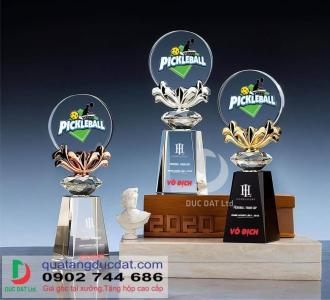 Cúp Pickleball 31