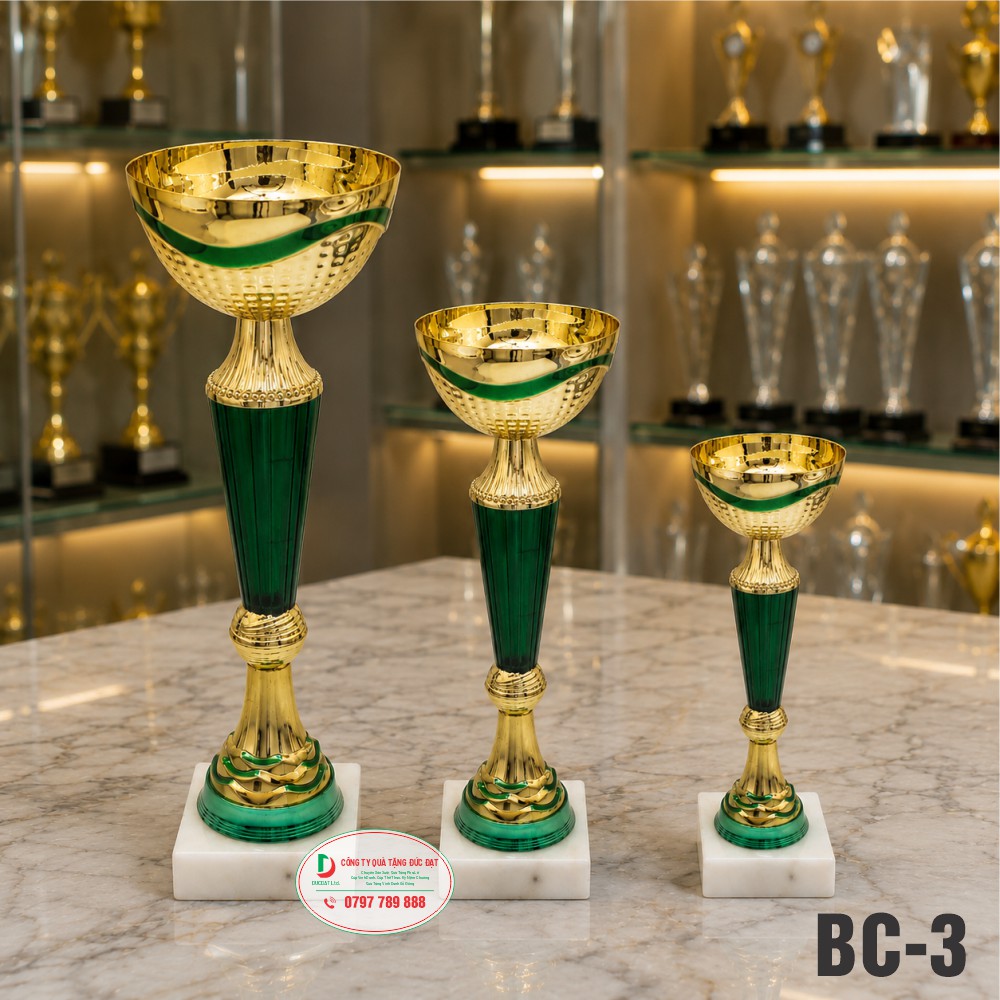 cup-the-thao-kim-loai-bc3