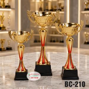 Cúp Kim Loại Cao Cấp BC-210