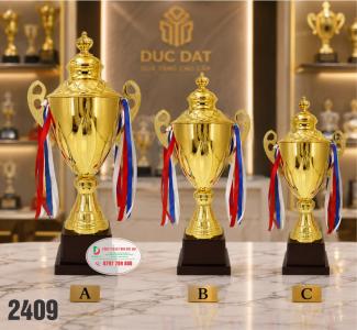 cup-kim-loai-the-thao-2409