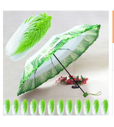 Ajuma Garden  Bắp Cải Tím Hữu Cơ